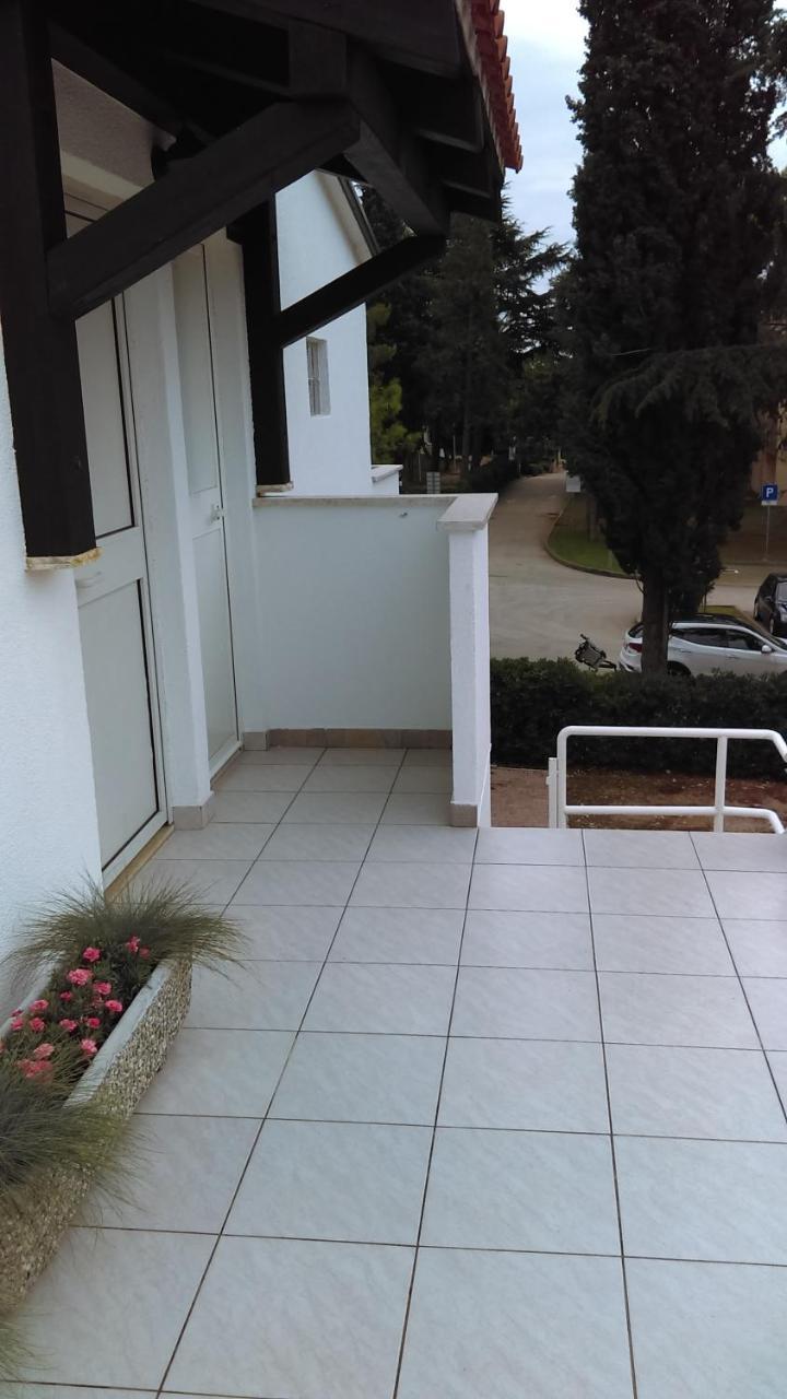 Ivana Apartament